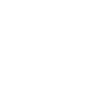 西译空乘专业成为焦点